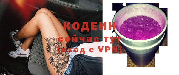 ECSTASY Богородицк