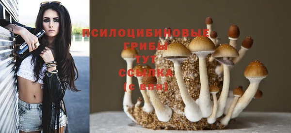 ECSTASY Богородицк