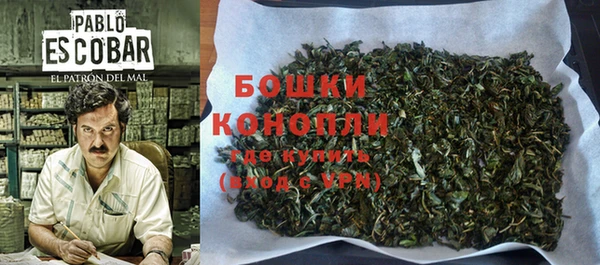 тгк Богданович
