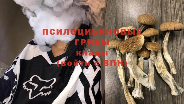 ECSTASY Беломорск