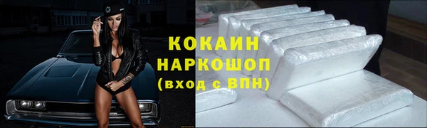 тгк Богданович