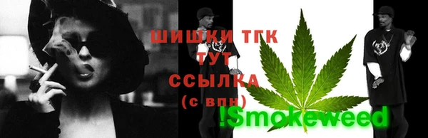 гидра Белокуриха