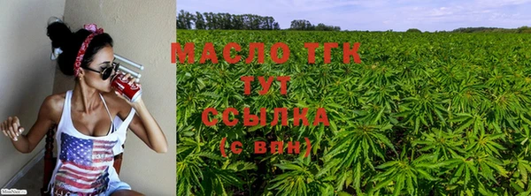 ECSTASY Богородицк
