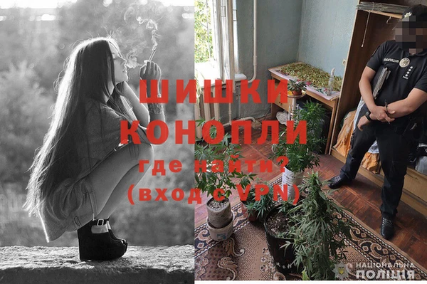 тгк Богданович
