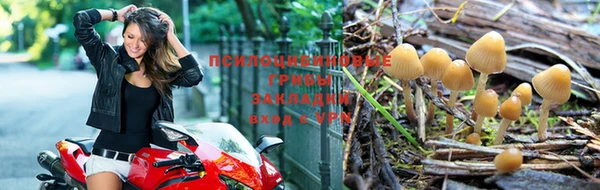 ECSTASY Богородицк