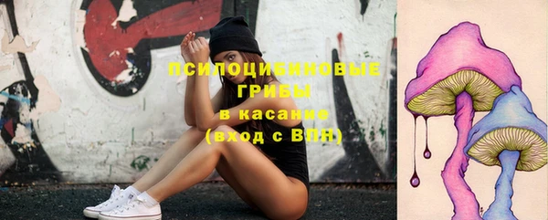 ECSTASY Богородицк