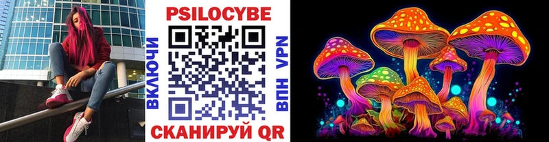 Галлюциногенные грибы мицелий  купить  цена  Тверь 